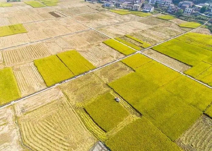 重庆南川金山镇土地流转吗？