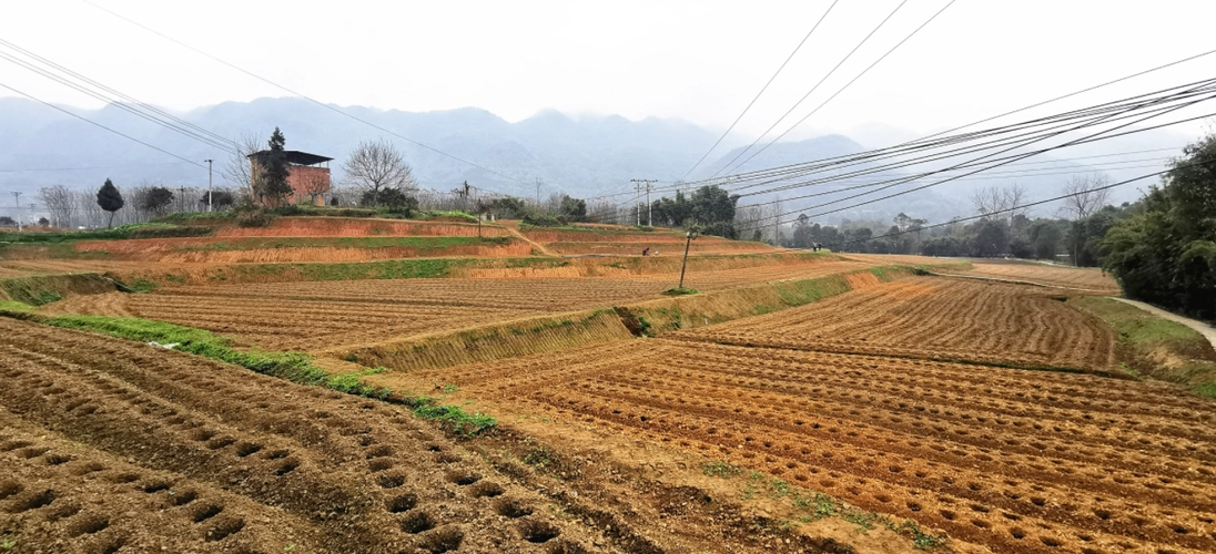 重庆农村土地占用赔付标准？