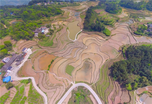 重庆农村土地租用补偿标准？