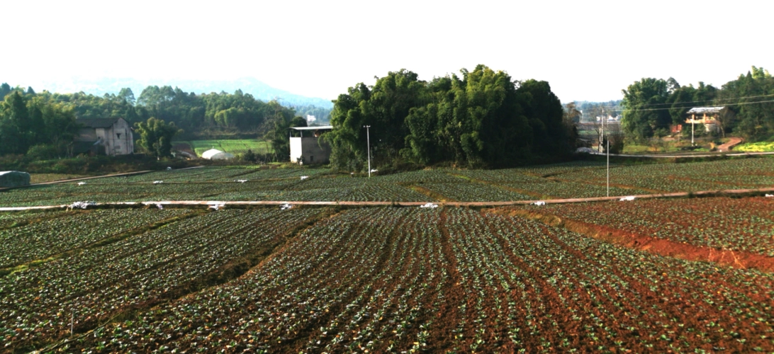 重庆彭水土地如何流转和农村房屋能买卖吗？