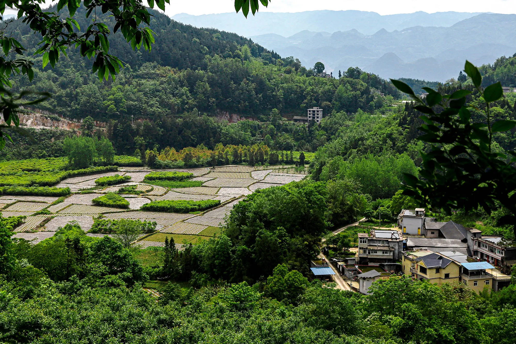 重庆黔江农村土地确权？