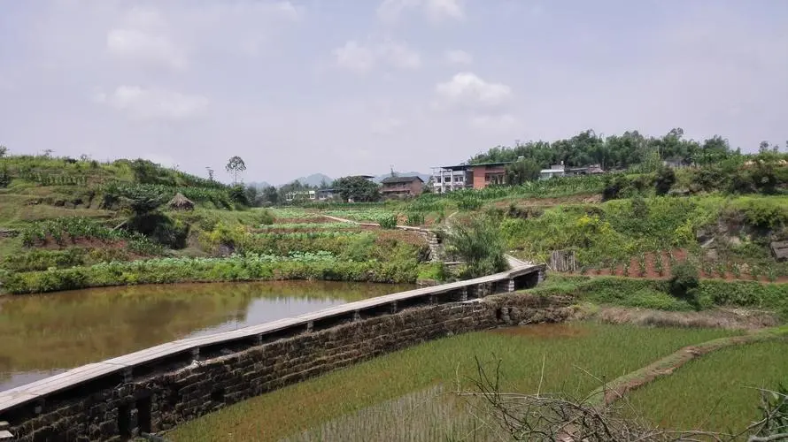 重庆沙坪坝农村土地征收完了吗？