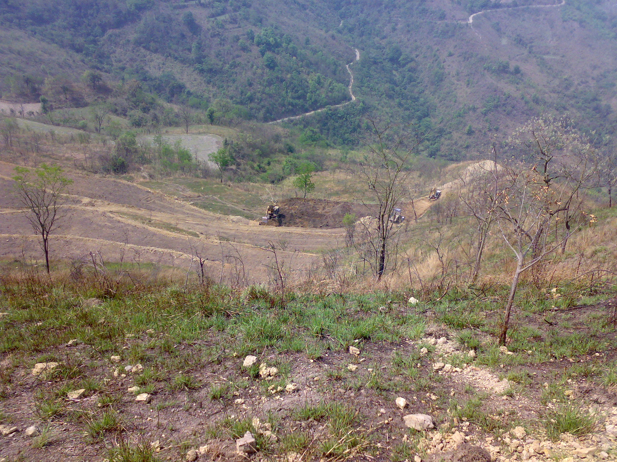 重庆山区农村土地价格走势？