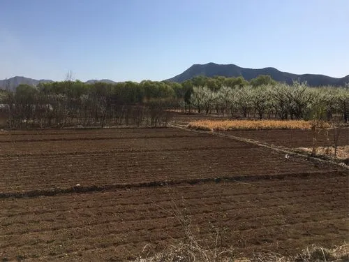 重庆山区农村土地性质有哪些？