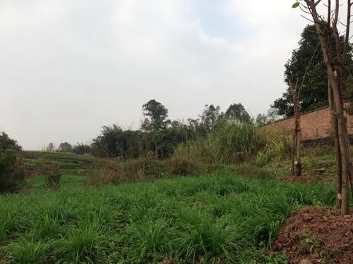 重庆市大足区农村土地确权吗？