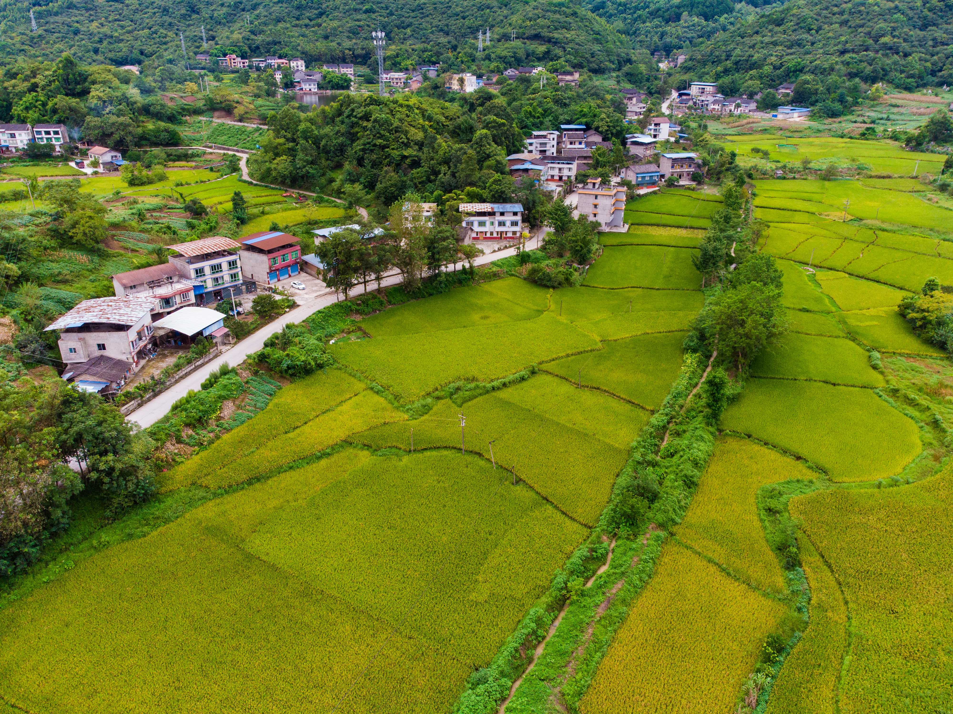 重庆市垫江县土地流转多少钱一亩？