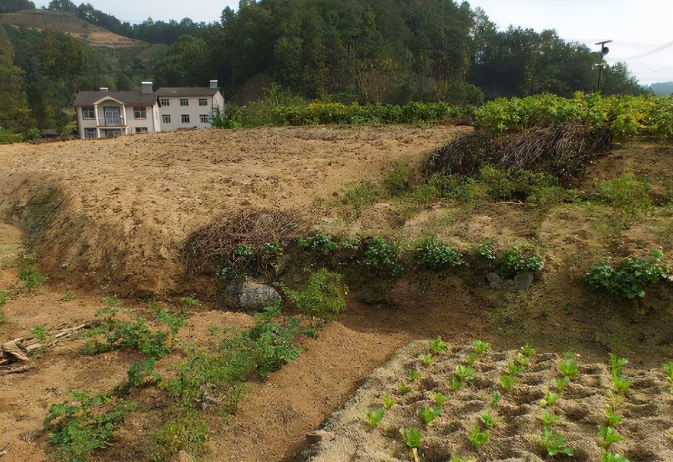 重庆市农村土地复垦如何申请？复垦有新政策吗？